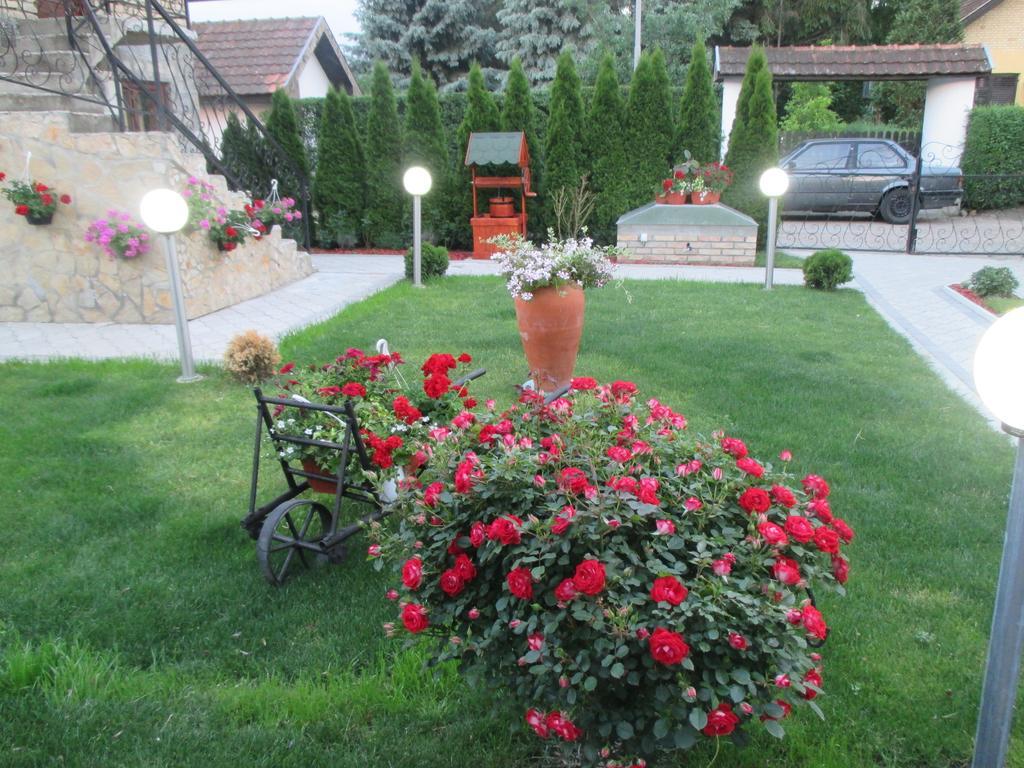Vila Boska Palić מראה חיצוני תמונה